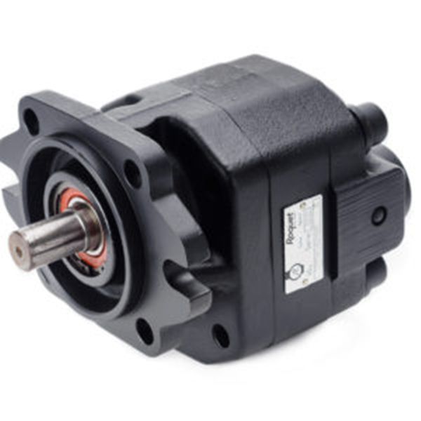 Roquet齒輪泵廠家，Roquet電機和齒輪泵，型號齊全